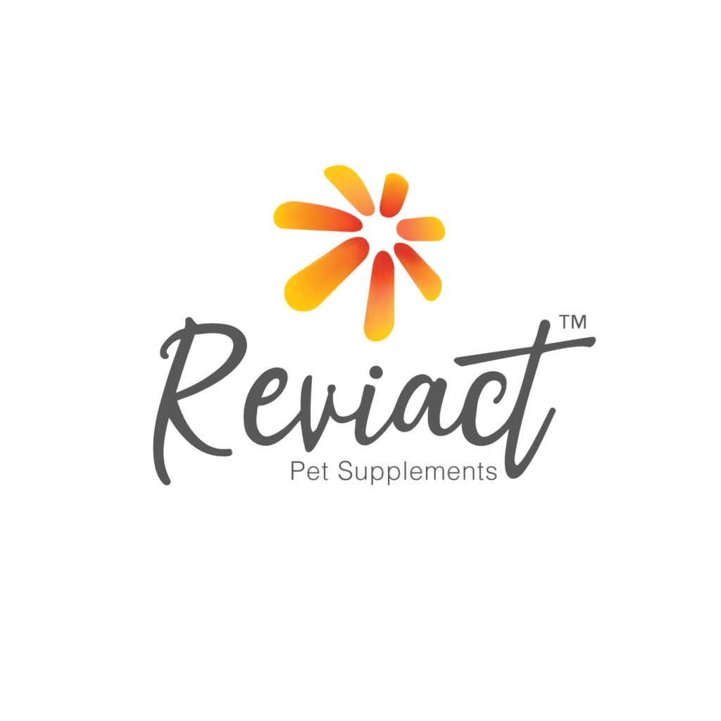 Reviact Logo